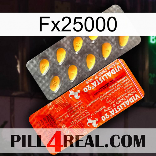 Fx25000 new01.jpg